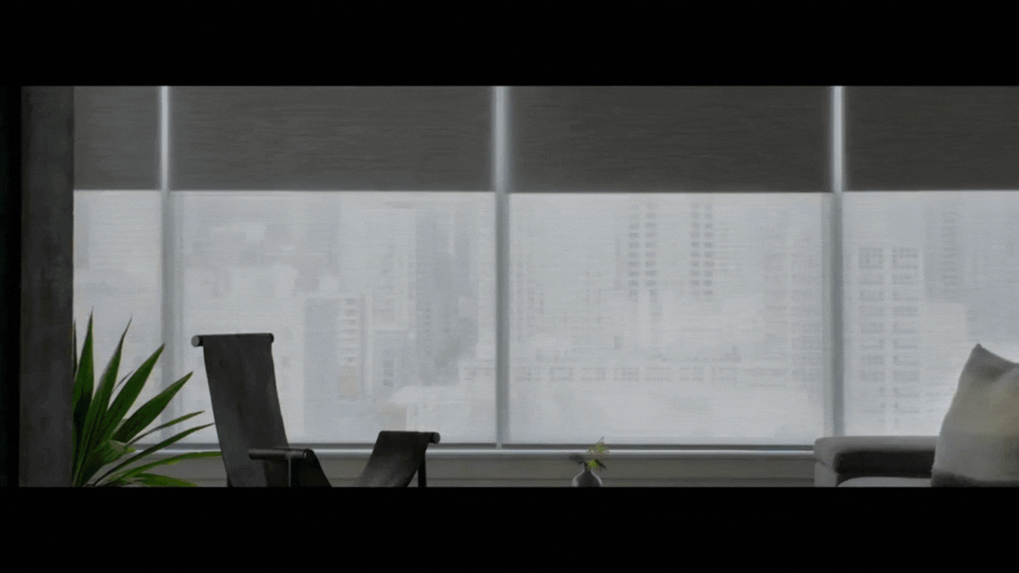 GIF-Designer-Roller-Shade-2